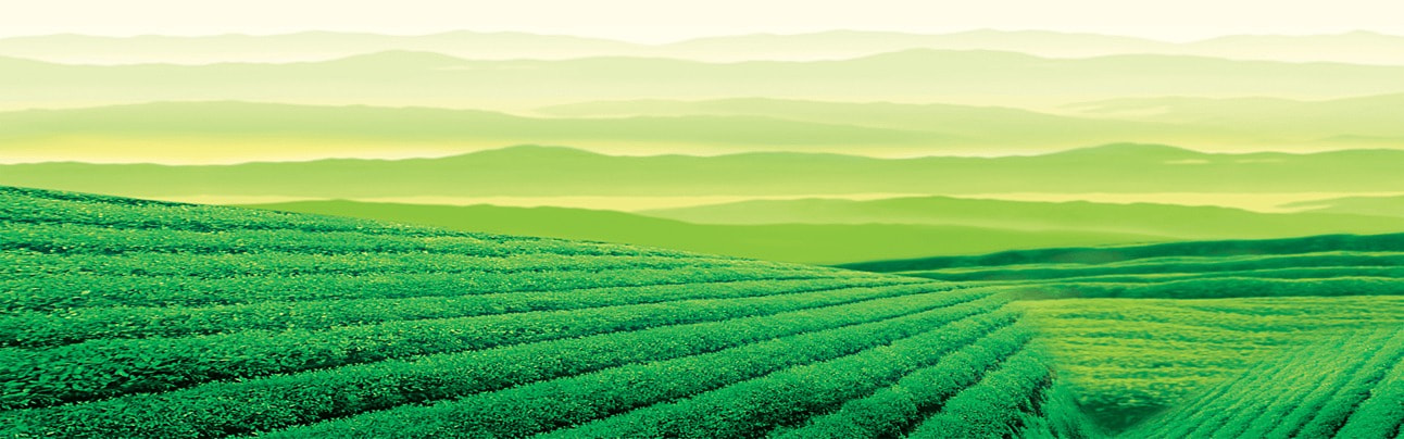 Highly effective and safe pesticides that meet specifications